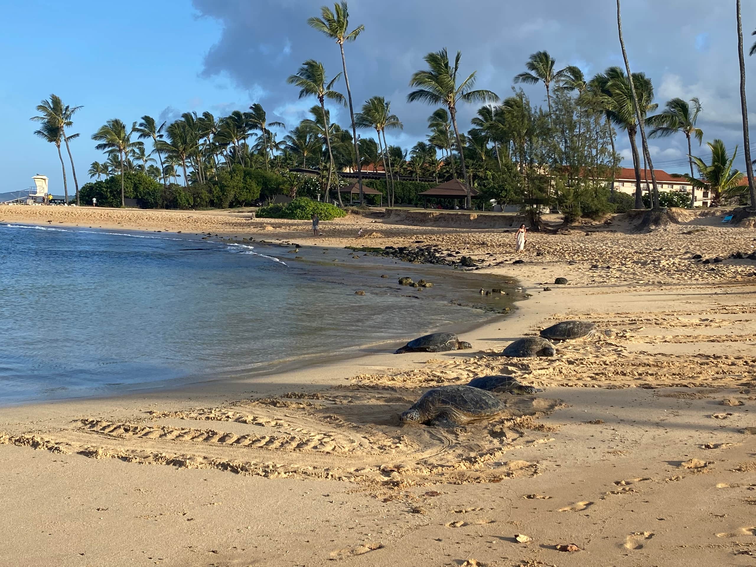 Newly Upgraded Modern Cottage in Poipu with A/C - Image 37