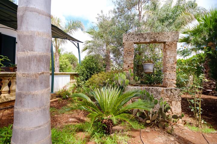 Villetta del Salento 2 gallery image 2