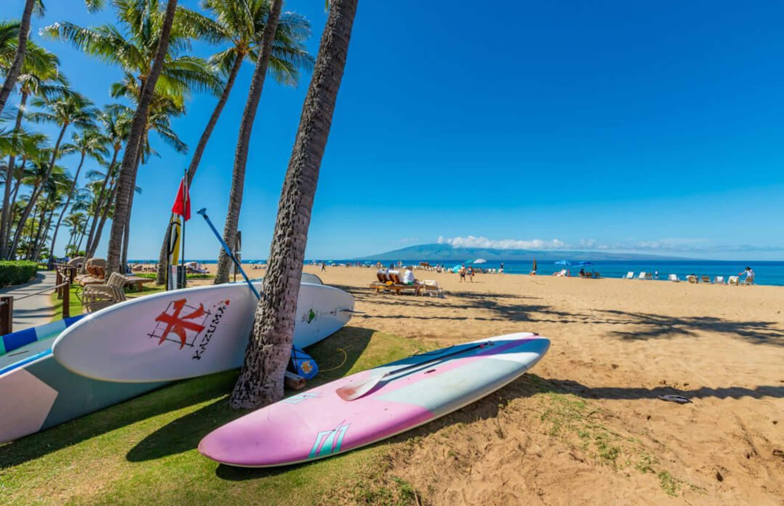 Condo in Lahaina · ★4.9 · 2 bedrooms · 2 beds · 2 baths - Image 38