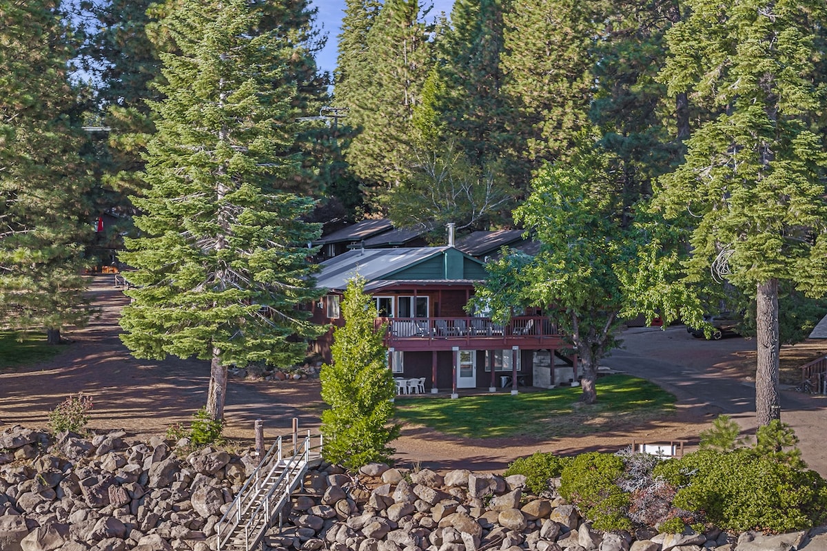 The cabin is nestled among tall pine trees, with a large deck and patio furniture visible. A neatly landscaped area features a stone pathway leading to the water's edge, while the surrounding greenery enhances the natural setting.