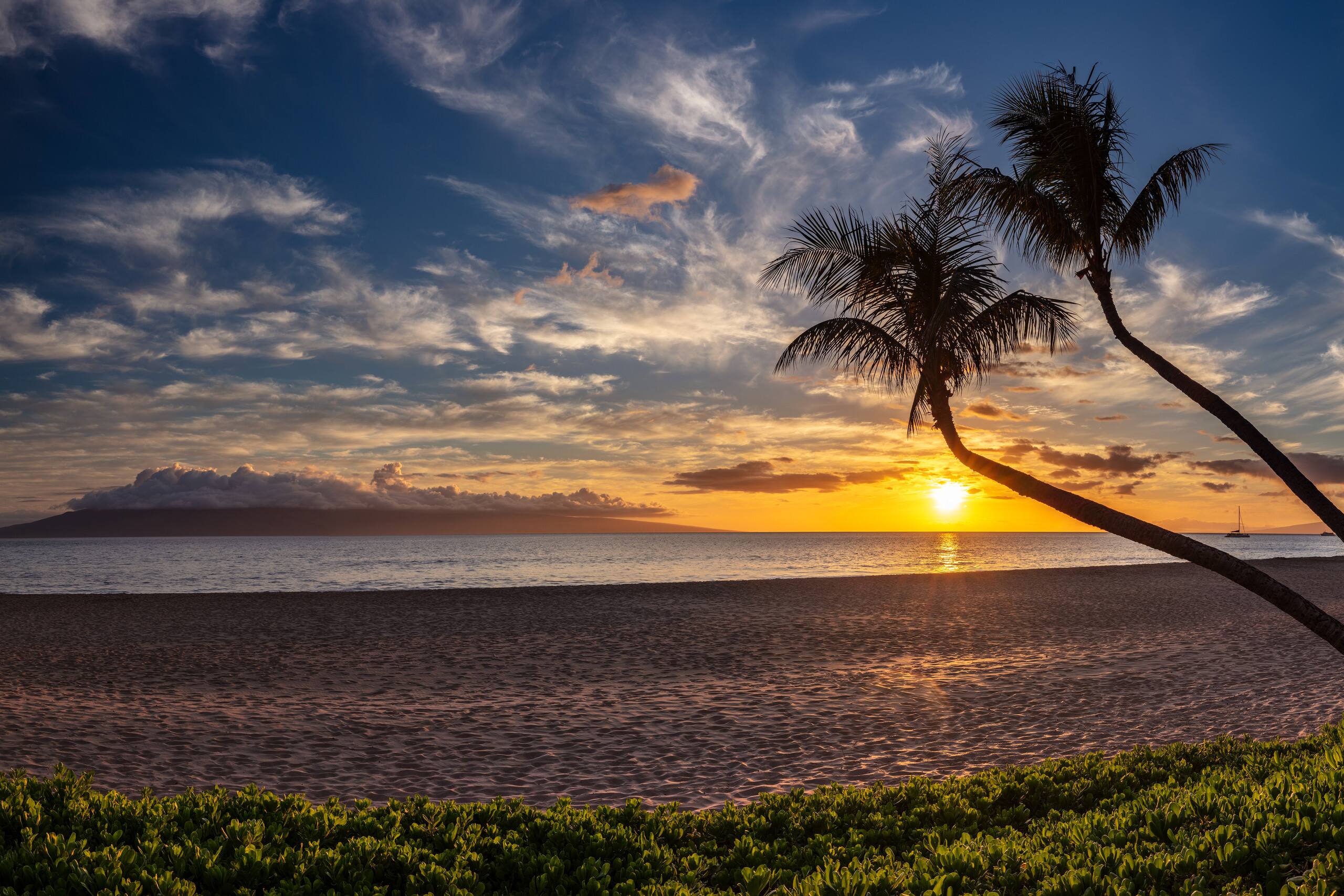 Home in Lahaina · ★4.91 · 4 bedrooms · 5 beds · 4 baths - Image 43