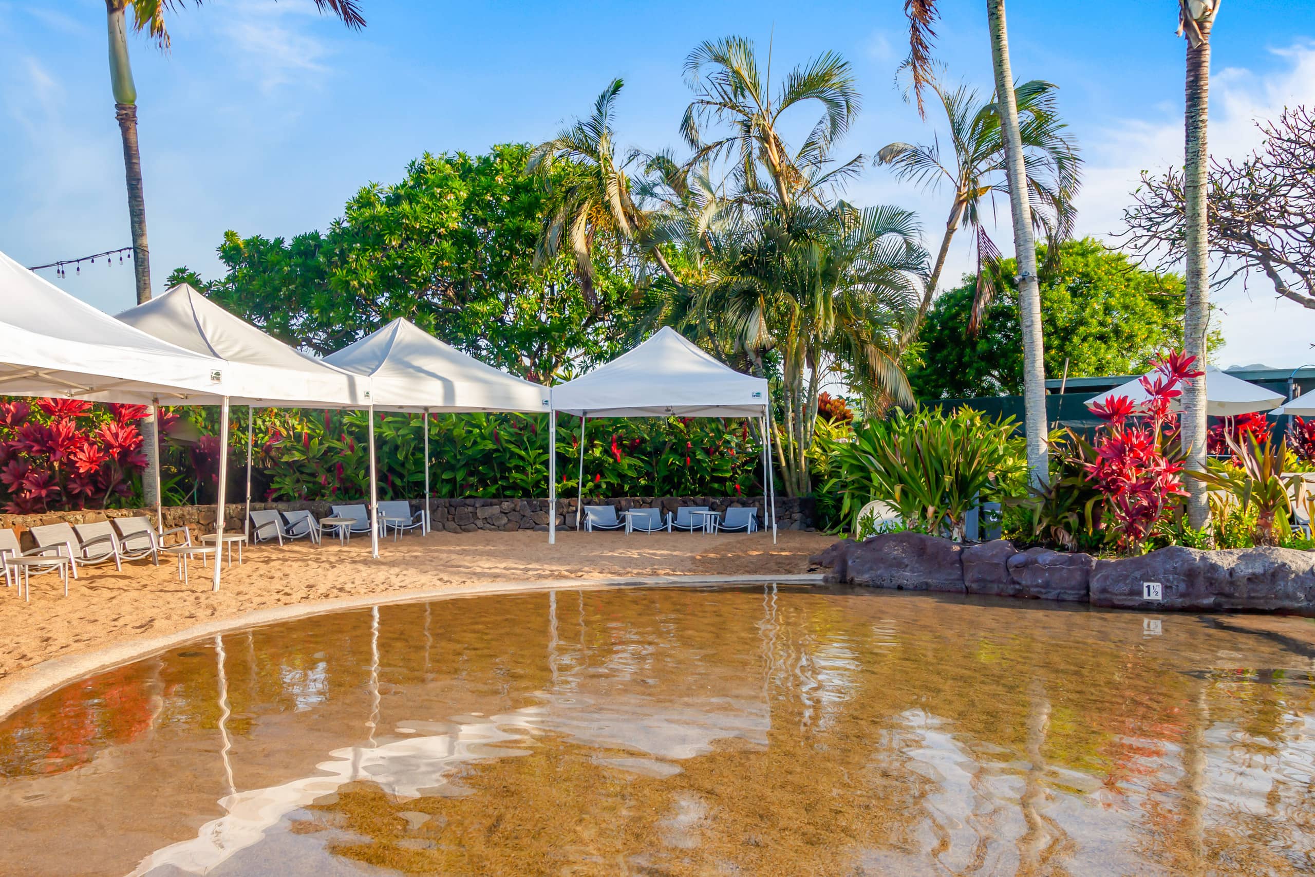 Kuhio Shores 215 Oceanfront, AC - Photo 39