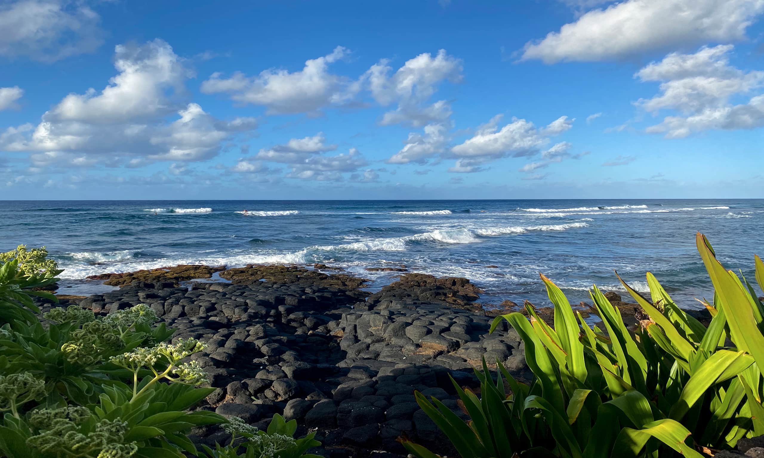 Kuhio Shores 215 Oceanfront, AC - Photo 46