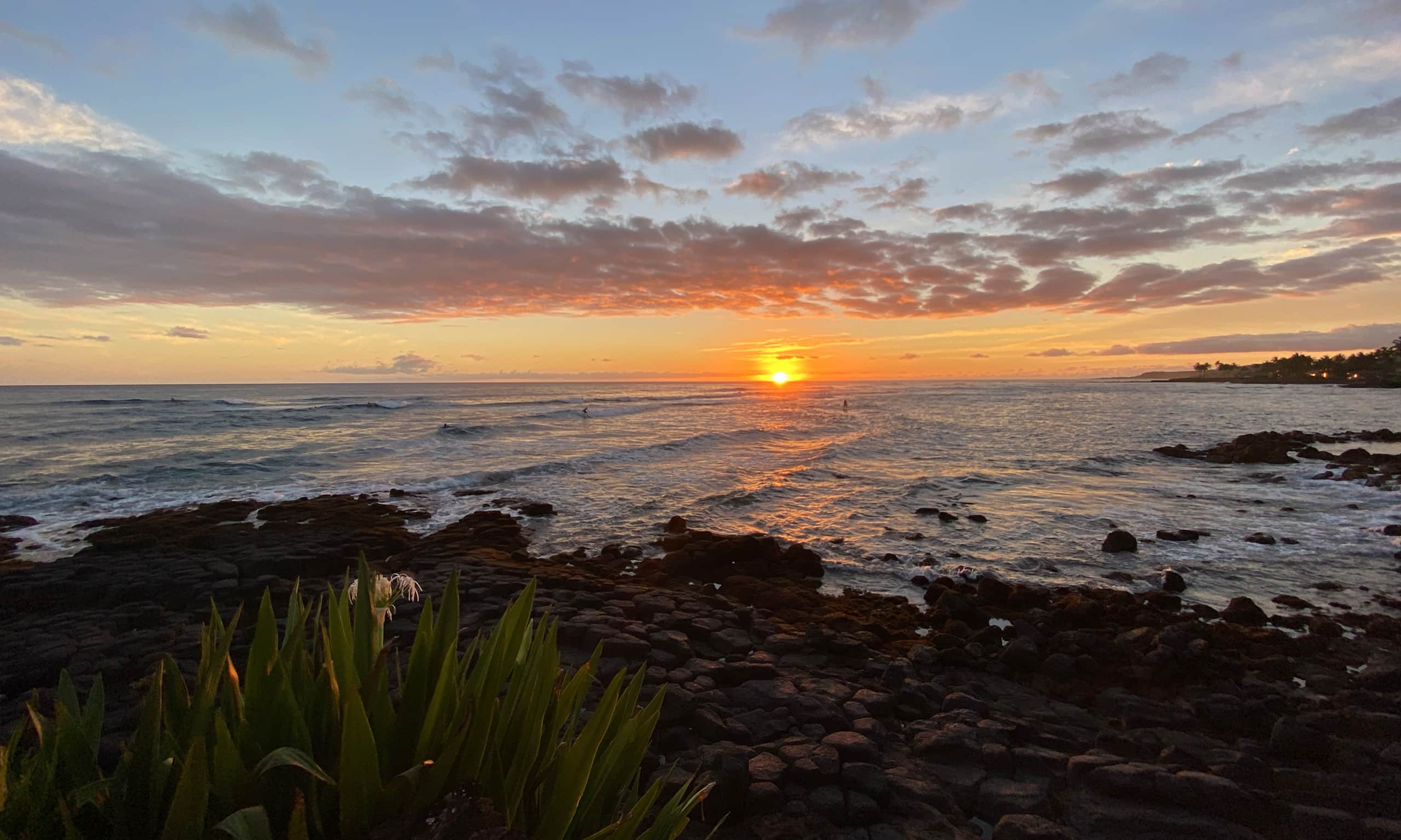 Kuhio Shores 215 Oceanfront, AC - Photo 43