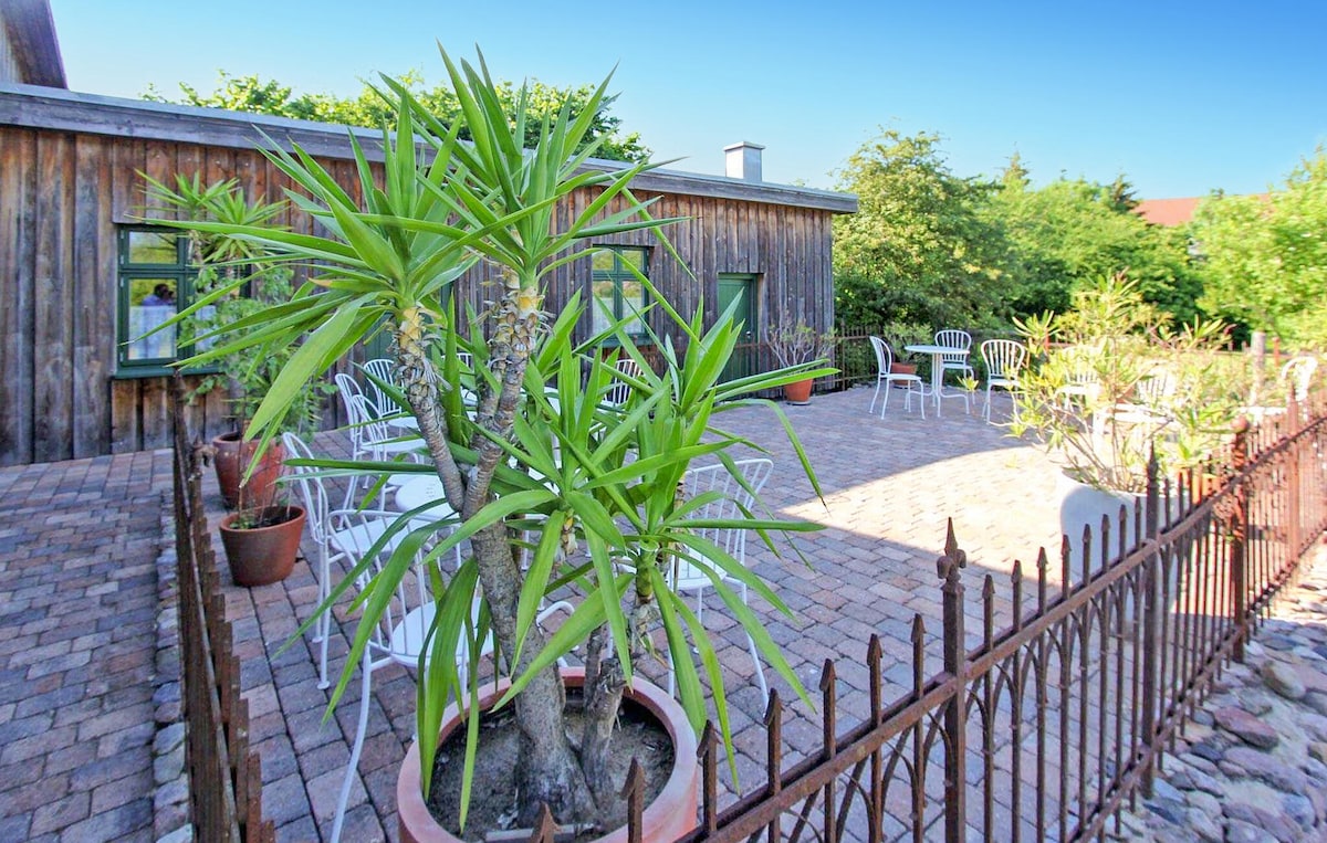 A spacious terrace is surrounded by greenery and features multiple white chairs arranged around a stone pathway. Potted plants add natural elements, and a decorative fence encloses the area, creating a peaceful outdoor space for relaxation or gatherings.