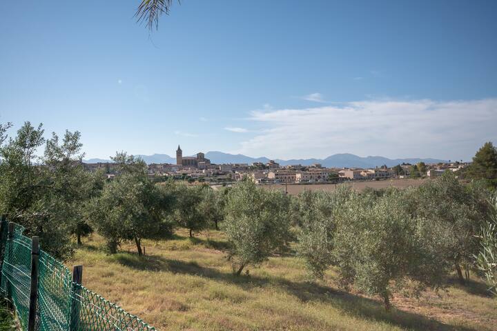 Es Flavo – Family Only gallery image 4