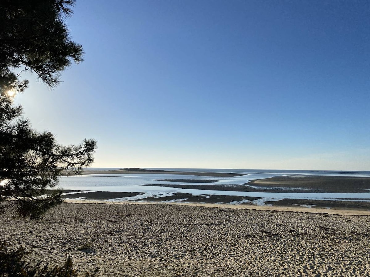 The image captures a serene beach scene with a wide expanse of soft sand leading to calm waters. The shoreline is dotted with gentle waves, and a clear blue sky stretches overhead, complemented by the shadows of nearby trees.