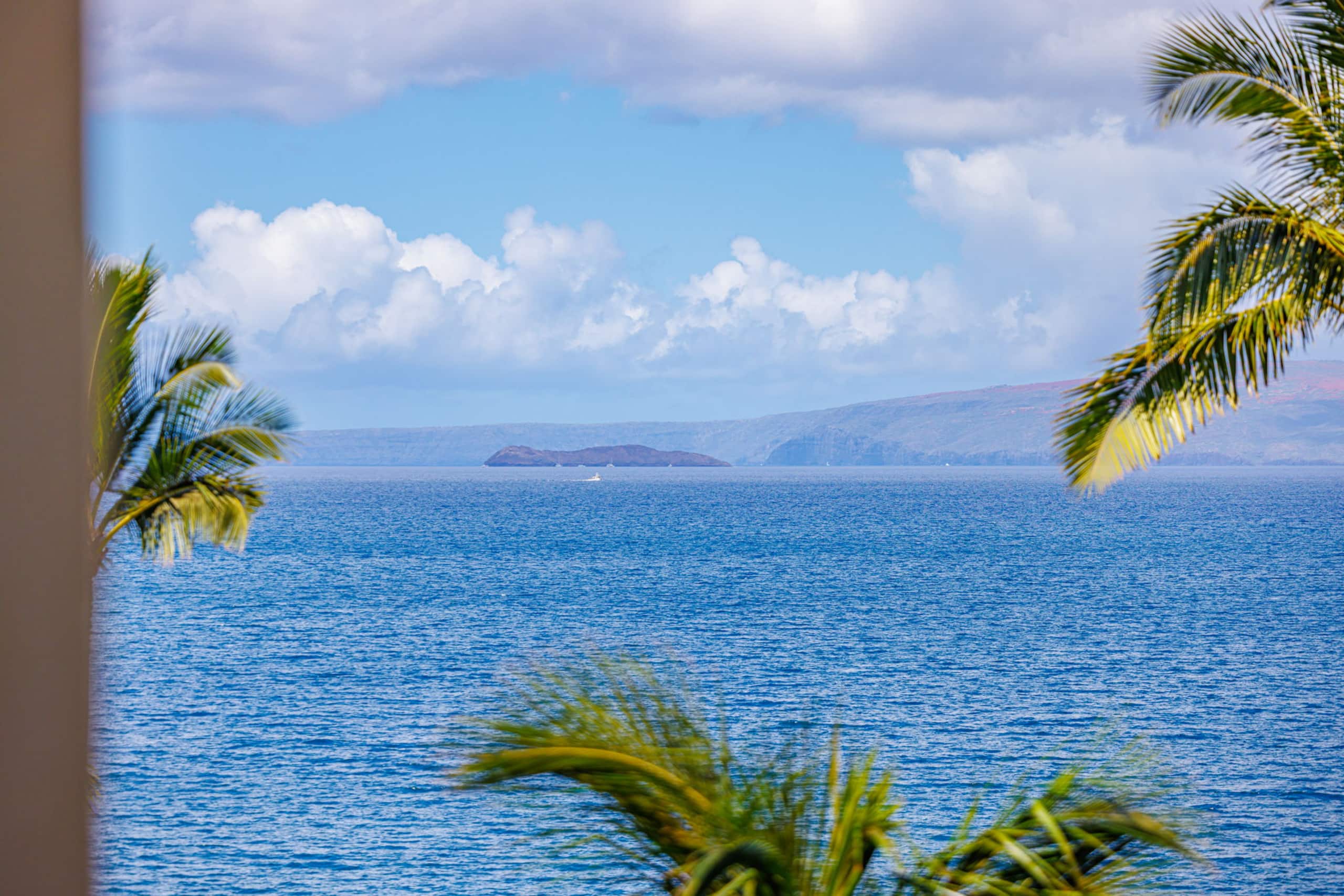 Condo in Kihei · ★4.96 · 2 bedrooms · 3 beds · 2 baths - Image 69