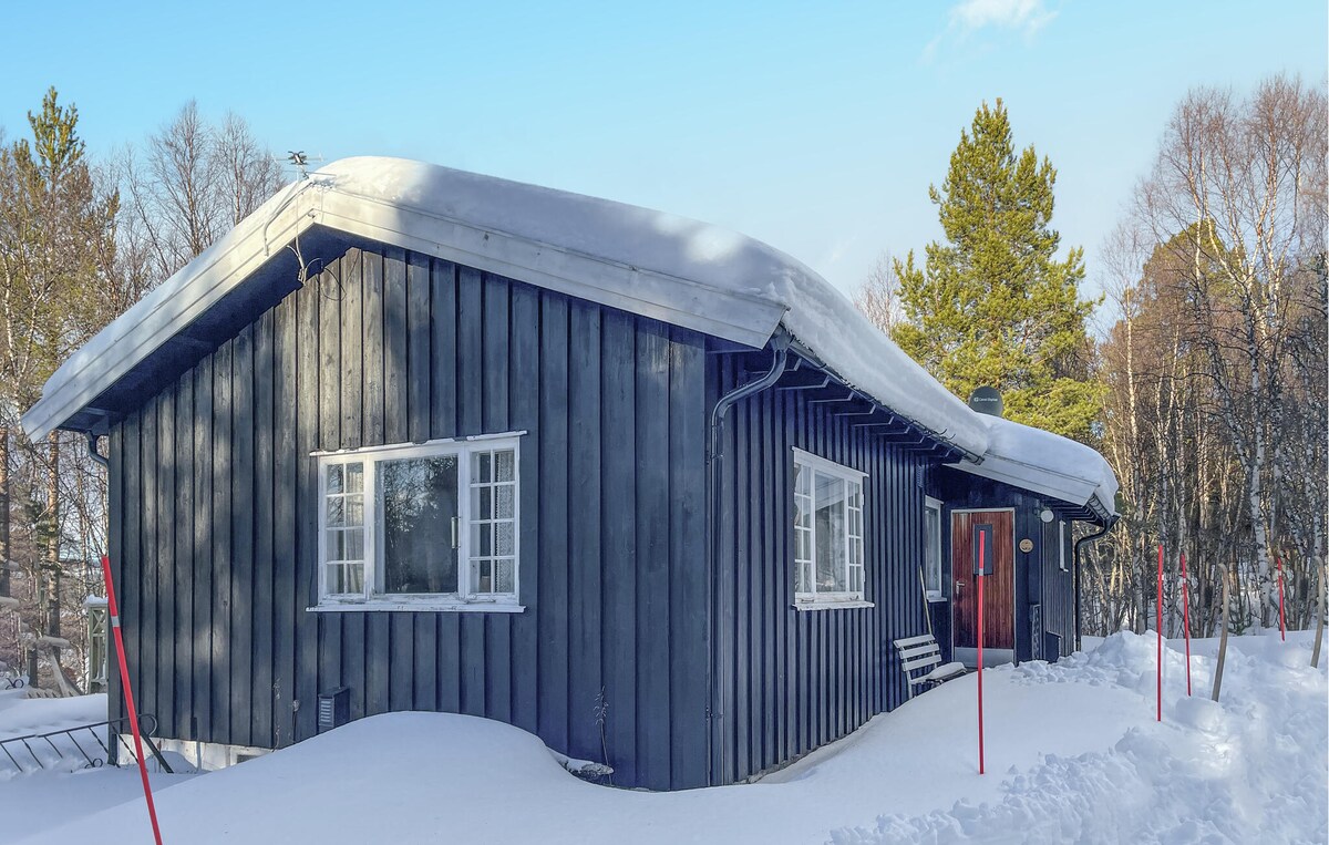 A rustic wooden house is showcased, featuring a sloped roof covered in snow. The dark exterior contrasts with the white snow. Large windows are positioned on the front, welcoming natural light. Surrounding trees are visible, adding to the serene winter landscape.
