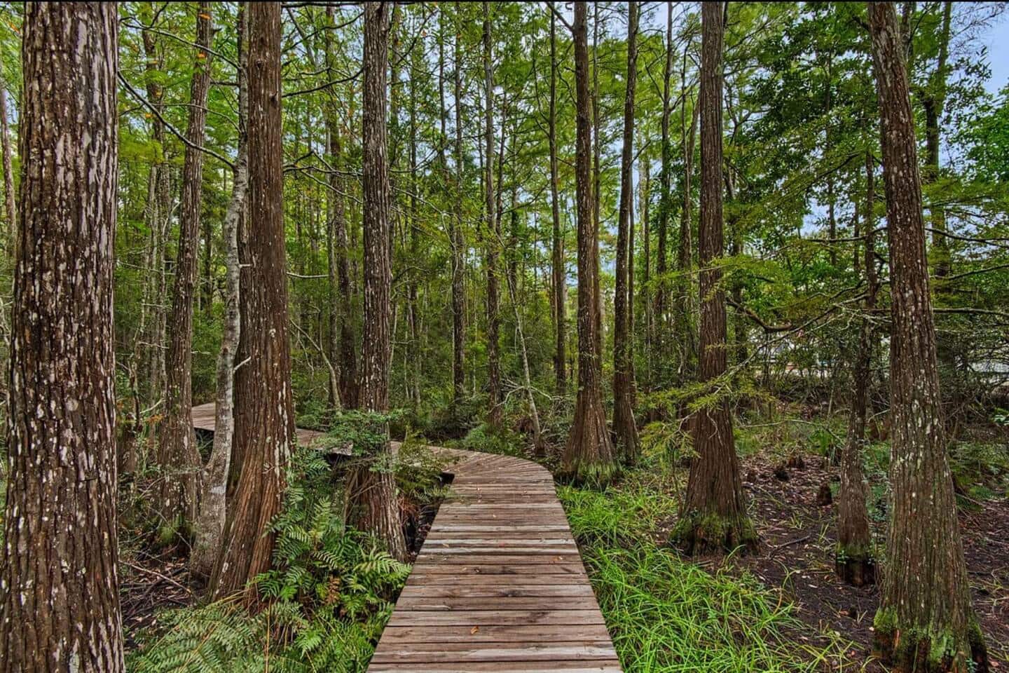 Nature Trails