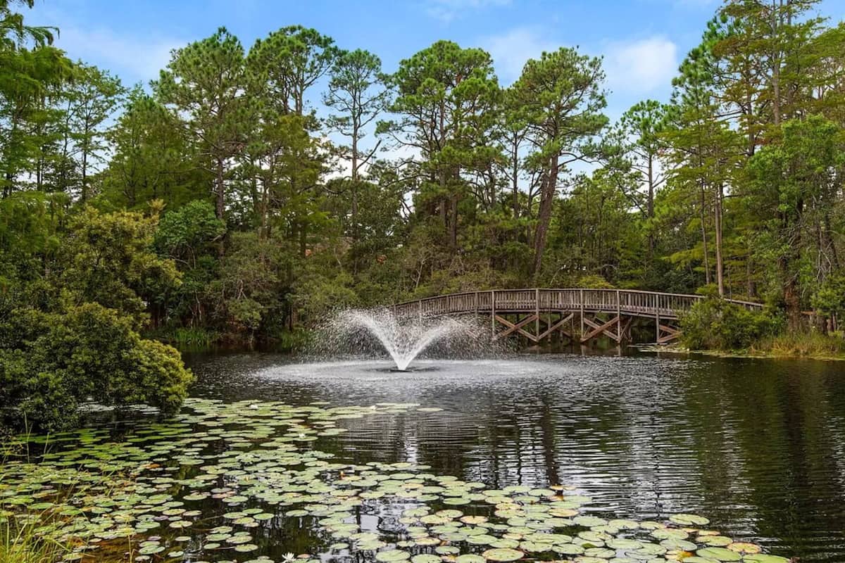 Fishing Lake