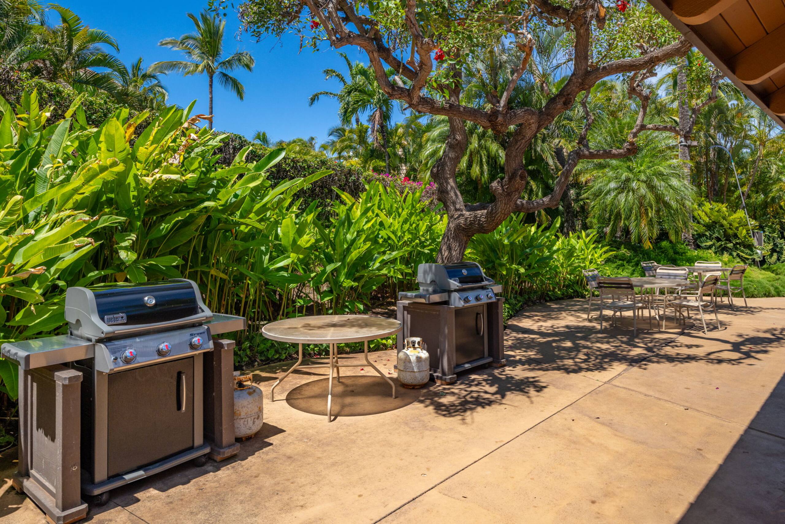 Condo in Kihei · ★4.57 · 1 bedroom · 2 beds · 2 baths - Image 47