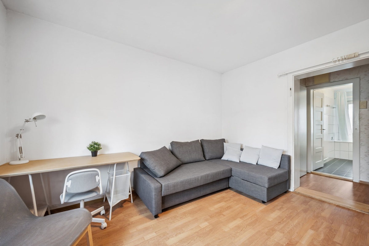 Top performing Airbnb: Zürich 2BR Apt: Essential Comfort & Access in Seebach