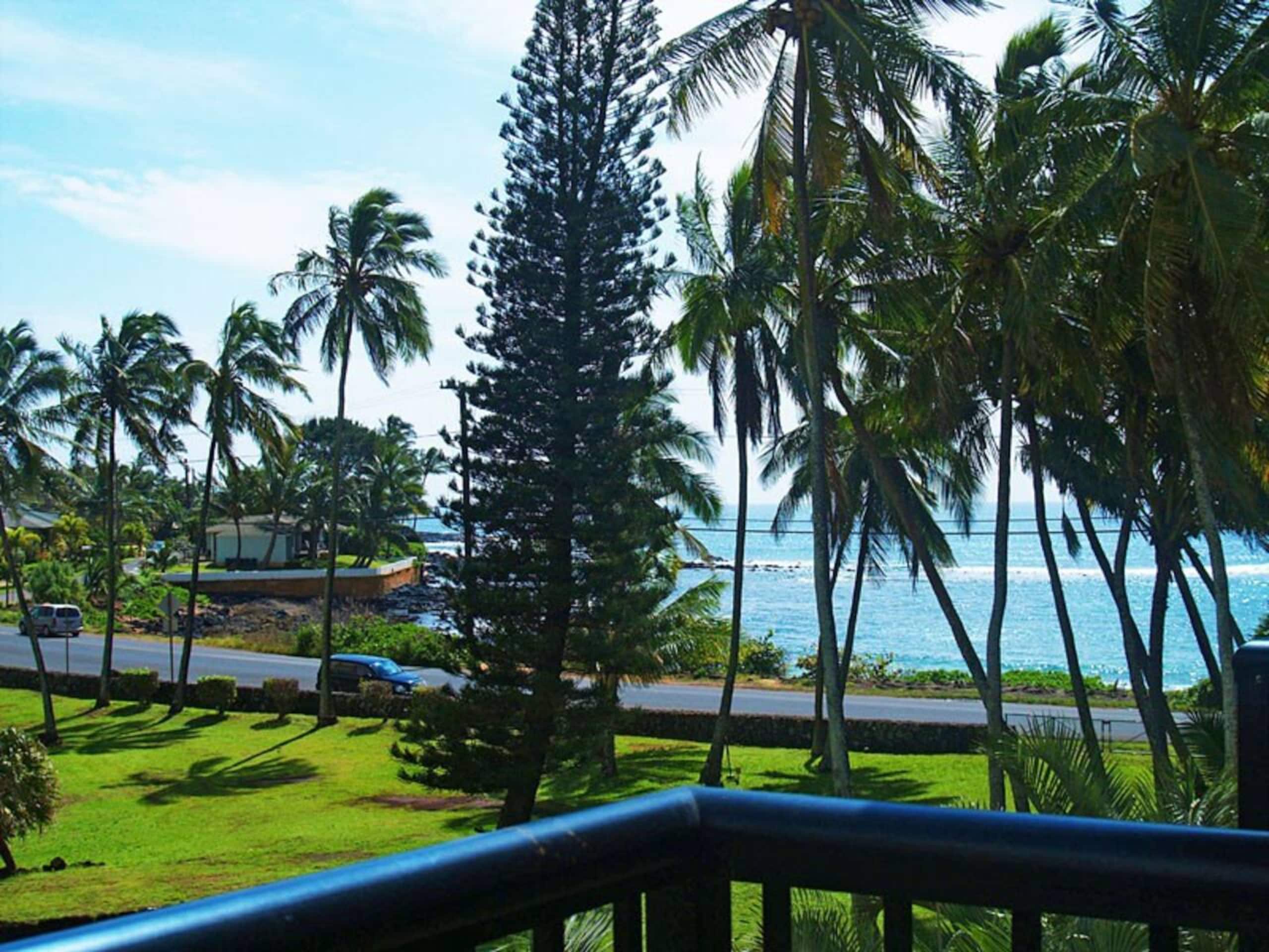 Prince Kuhio 317 Ocean View - Main photo