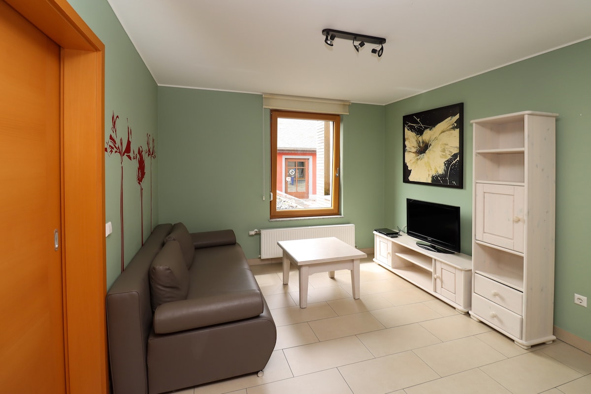 The living area is highlighted by a brown sofa and a light-colored coffee table. A television is placed on a white media unit against a wall adorned with an abstract art piece. Natural light enters through a large window framed by a radiator.