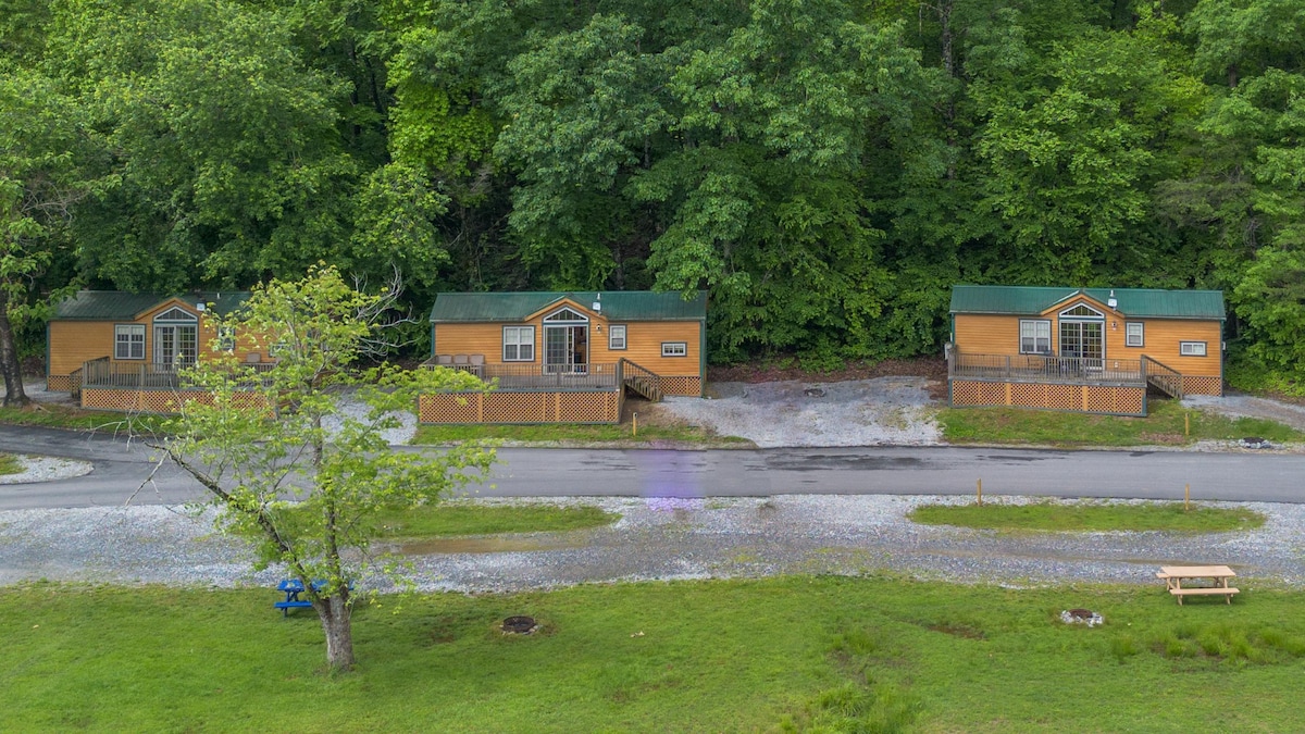 A trio of rustic cabins is nestled among lush greenery, showcasing wooden exteriors and green roofs. Each cabin features a front deck with steps leading down to a gravel pathway. A picnic table is visible in the grassy area in the foreground.