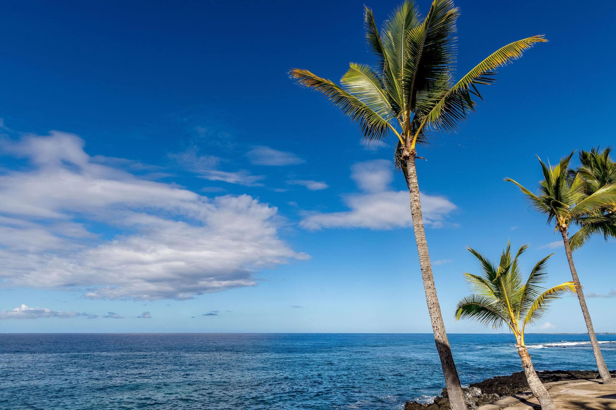 Condo in Kailua-Kona · ★4.73 · 2 bedrooms · 3 beds · 2 private baths - Image 32