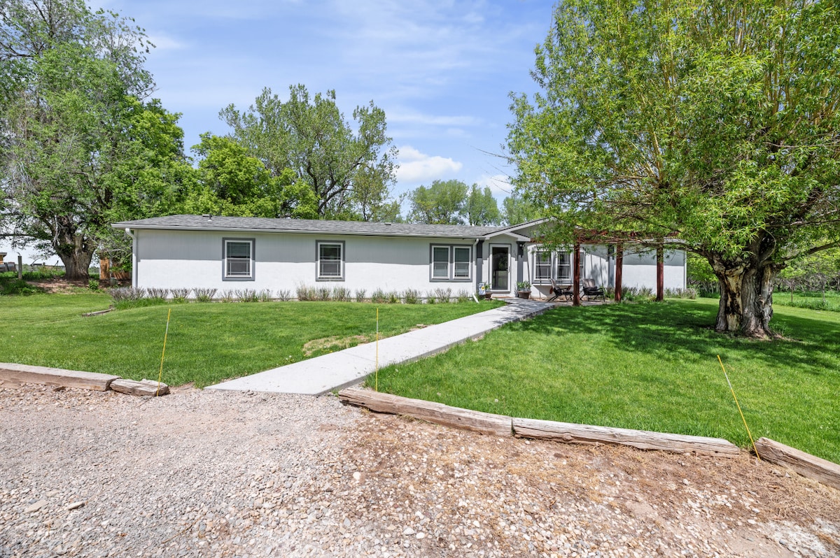 A single-story house is positioned on a spacious green lawn, framed by mature trees. A concrete walkway leads to the front entrance, with landscaped shrubs lining the sides. The exterior is painted in neutral shades, providing a harmonious look with the surrounding nature.