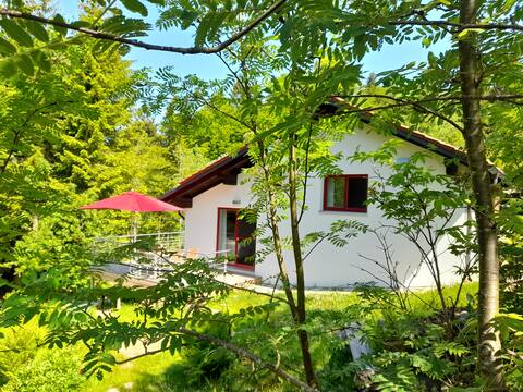 Waldhäuser mountain lodge