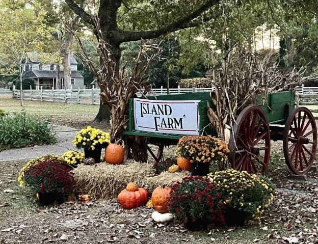 A rustic green wagon with the sign 'Island Farm' is positioned prominently in a picturesque outdoor setting. Surrounding the wagon are bright yellow, purple, and orange flowers, pumpkins of various sizes, and hay bales. A traditional farmhouse can be seen in the background among leafy trees.