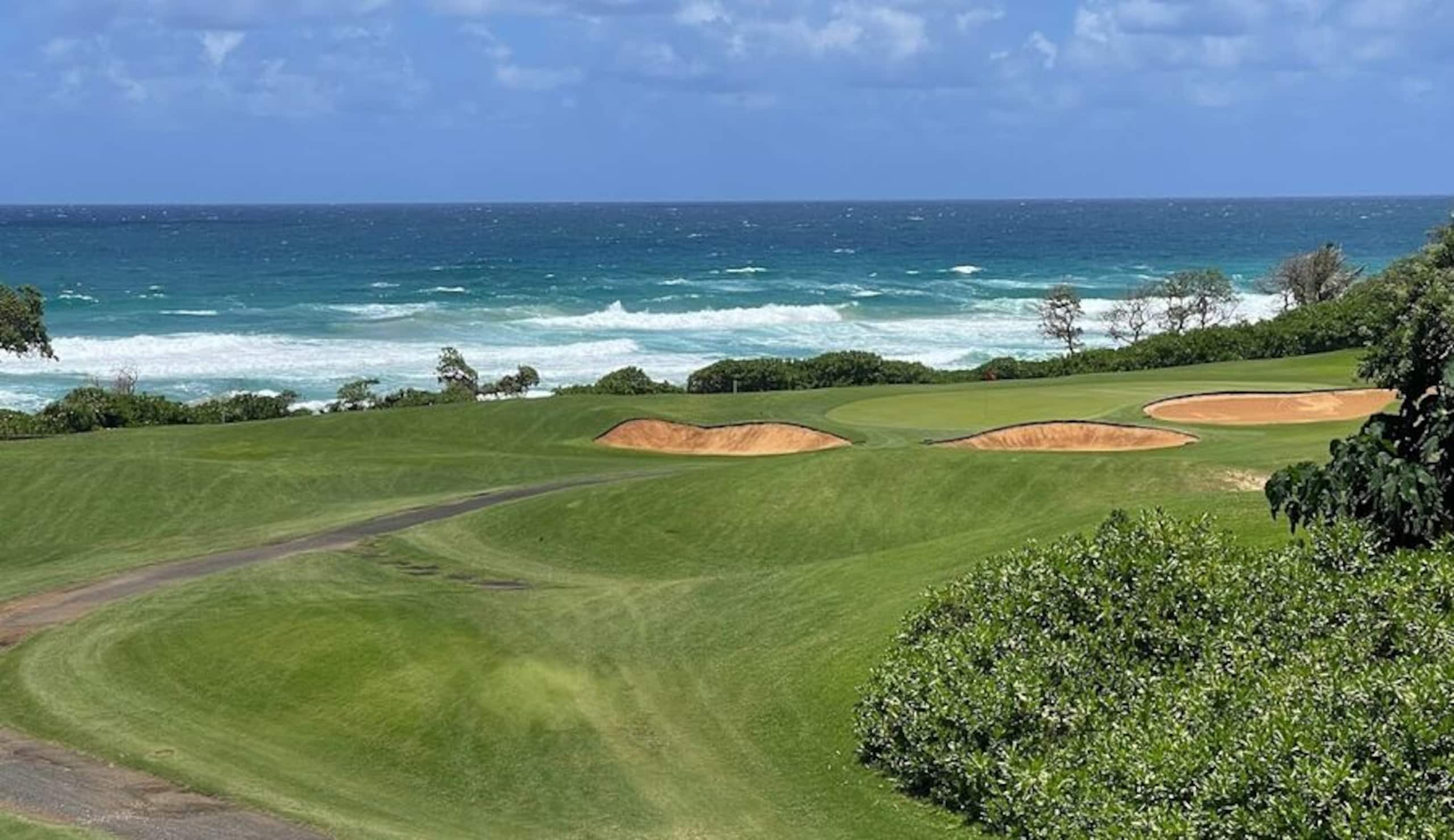 Condo in Kapaa · ★4.86 · 2 bedrooms · 2 beds · 2 baths - Image 60
