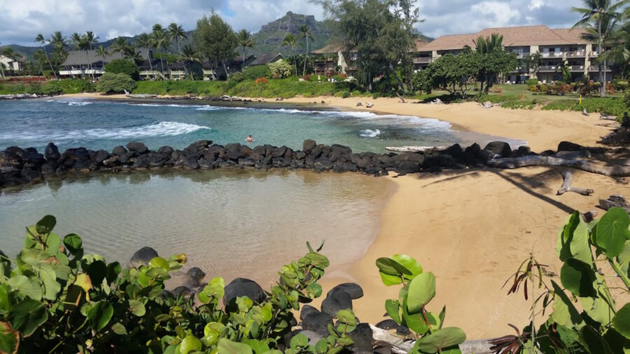 Condo in Kapaa · ★4.86 · 2 bedrooms · 2 beds · 2 baths - Image 31