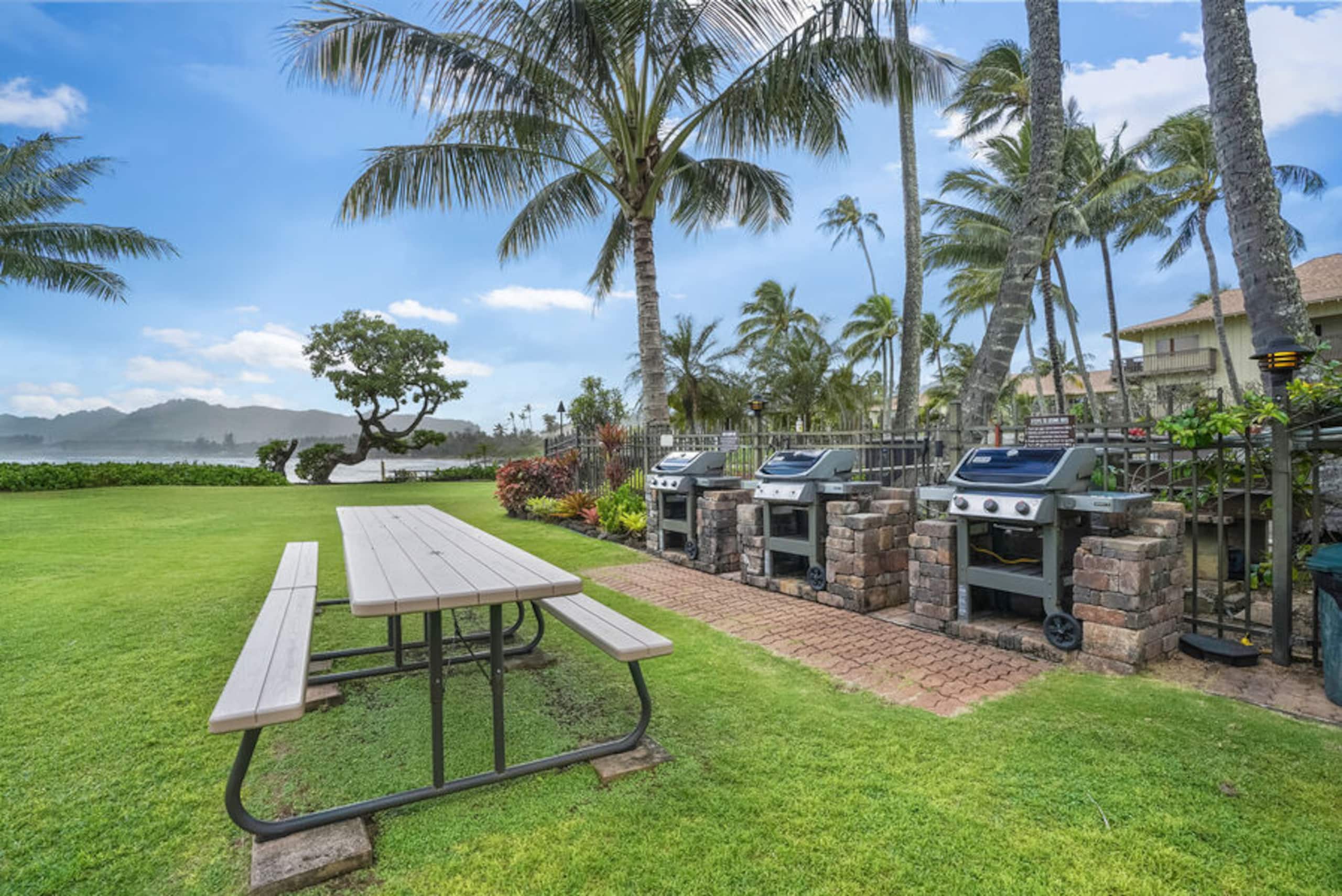 Condo in Kapaa · ★4.86 · 2 bedrooms · 2 beds · 2 baths - Image 38