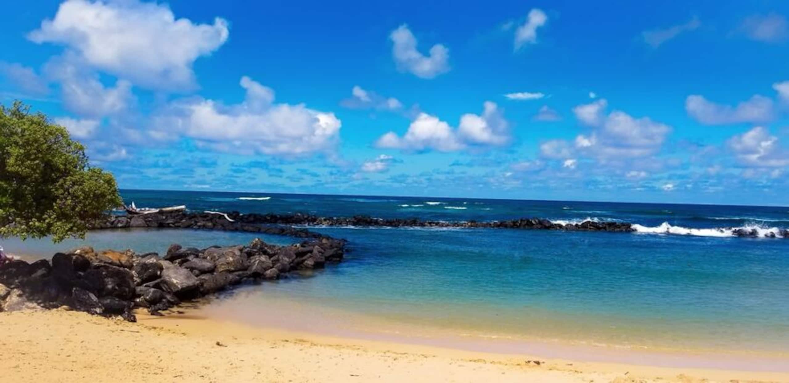 Condo in Kapaa · ★4.86 · 2 bedrooms · 2 beds · 2 baths - Image 55