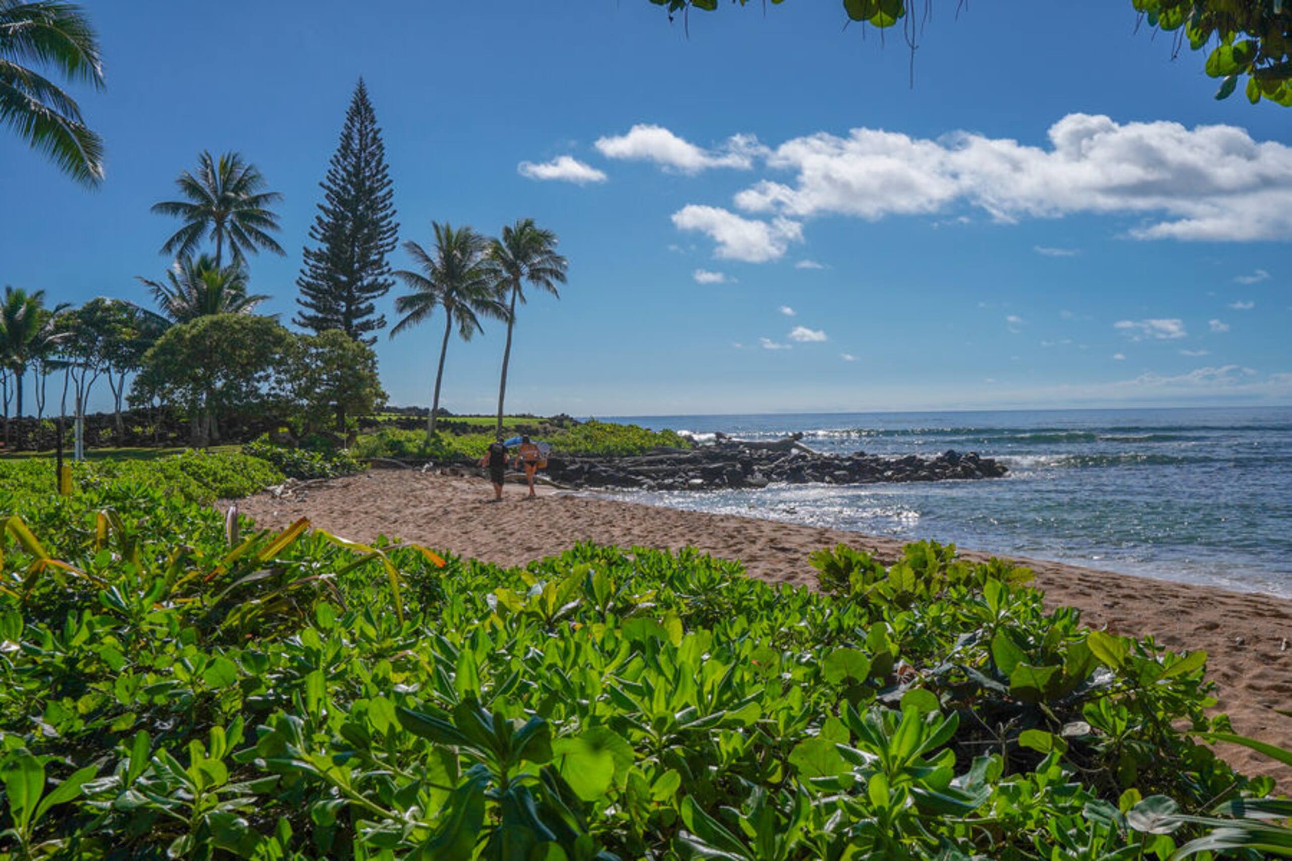 Condo in Kapaa · ★4.86 · 2 bedrooms · 2 beds · 2 baths - Image 40
