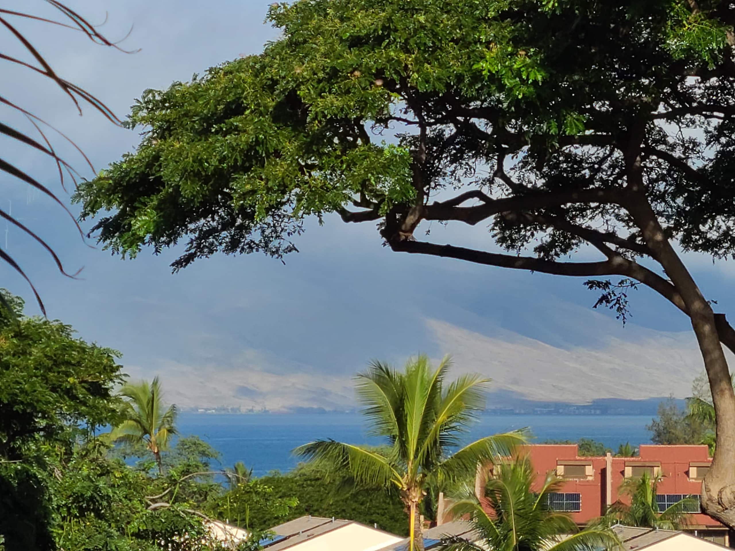 Condo in Kihei · ★5.0 · 1 bedroom · 2 beds · 2 private baths - Image 1