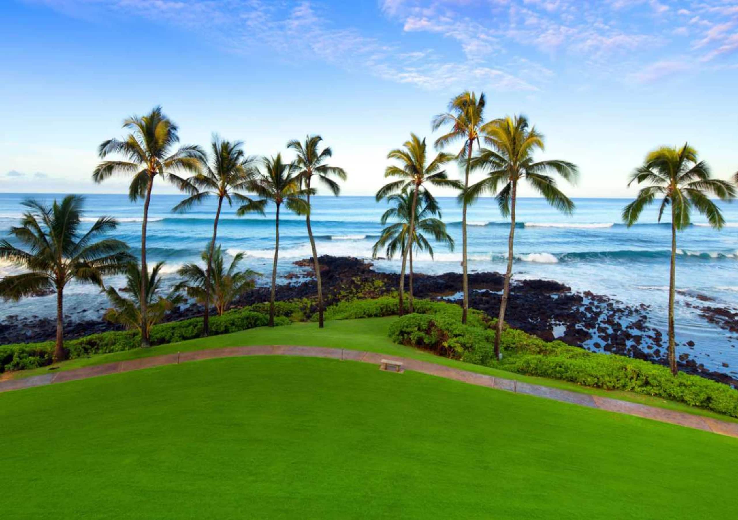 Condo in Koloa · ★4.95 · Studio · 1 bed · 1 bath - Image 4