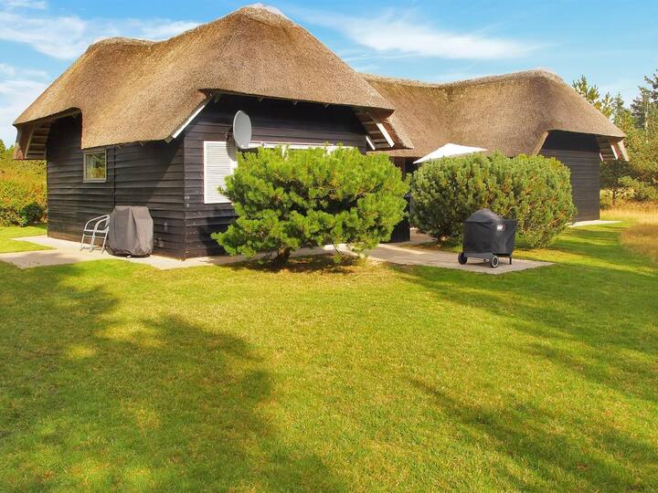 "Eetu" - 1.3km From The Sea By Interhome - Blåvand