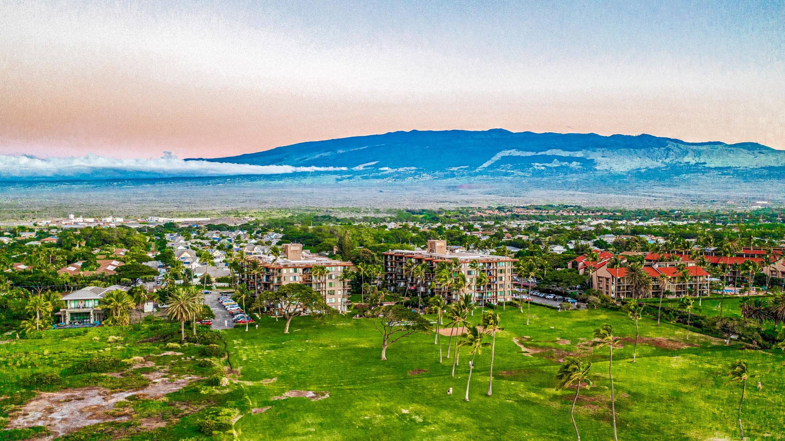 Condo in Kihei · ★4.75 · 1 bedroom · 2 beds · 1 shared bath - Image 40