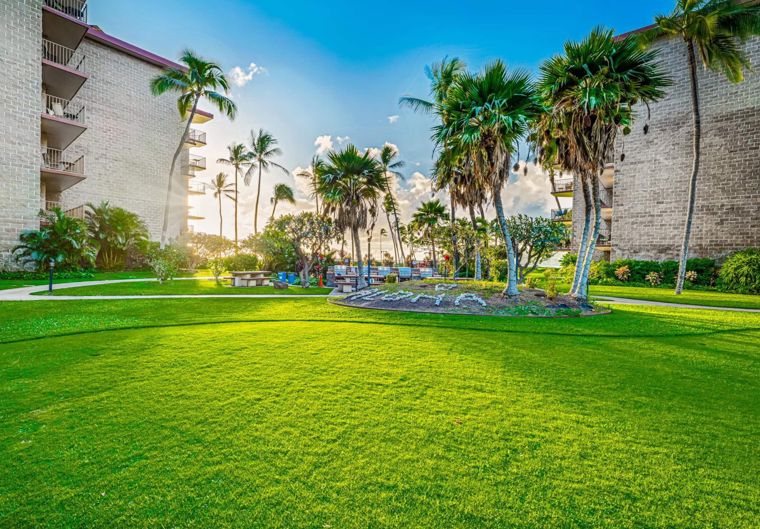 Condo in Kihei · ★4.75 · 1 bedroom · 2 beds · 1 shared bath - Image 38