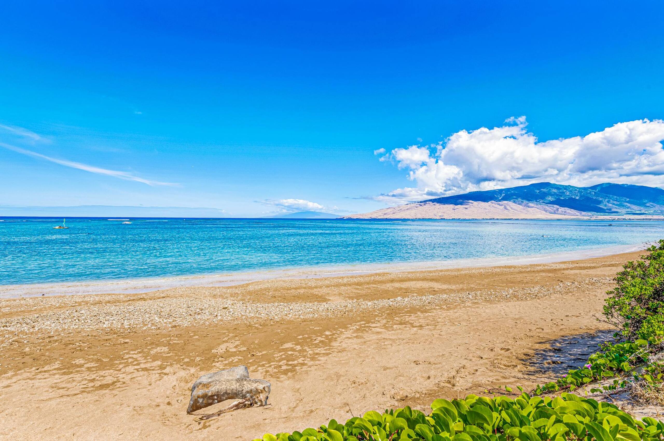 Condo in Kihei · ★4.75 · 1 bedroom · 2 beds · 1 shared bath - Image 5
