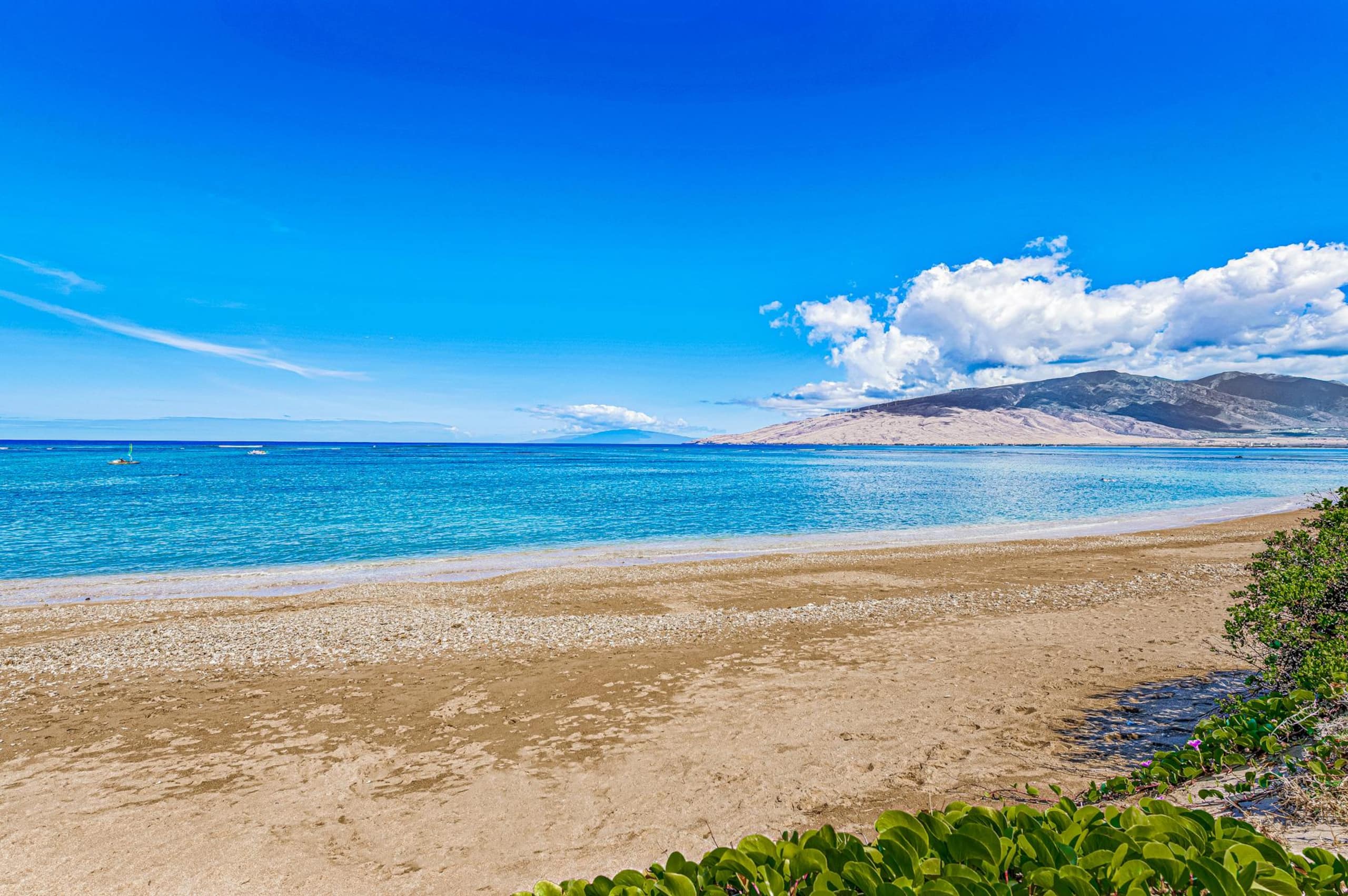 Condo in Kihei · ★4.58 · 1 bedroom · 2 beds · 1 shared bath - Image 43