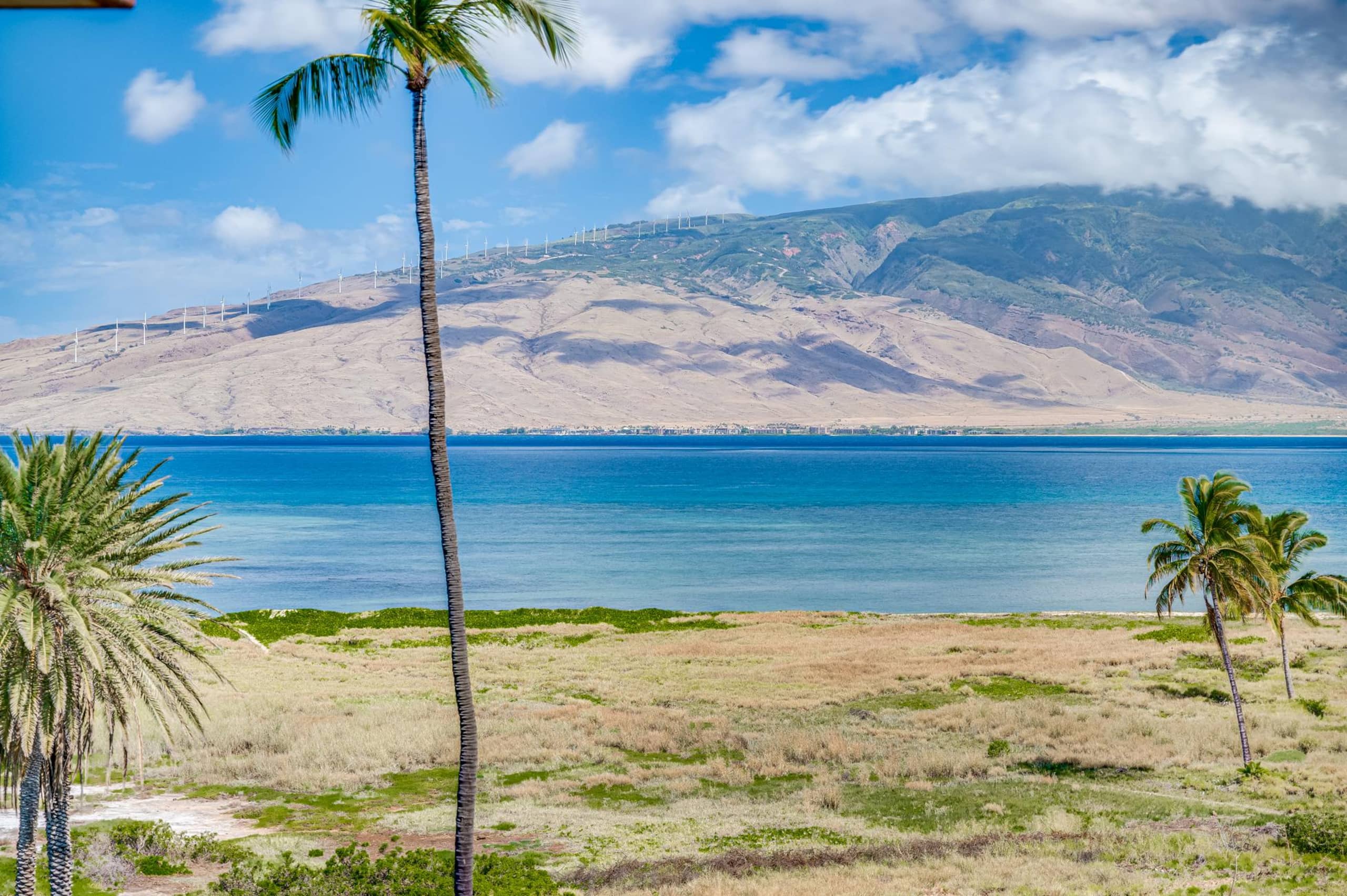 Condo in Kihei · ★4.58 · 1 bedroom · 2 beds · 1 shared bath - Image 36