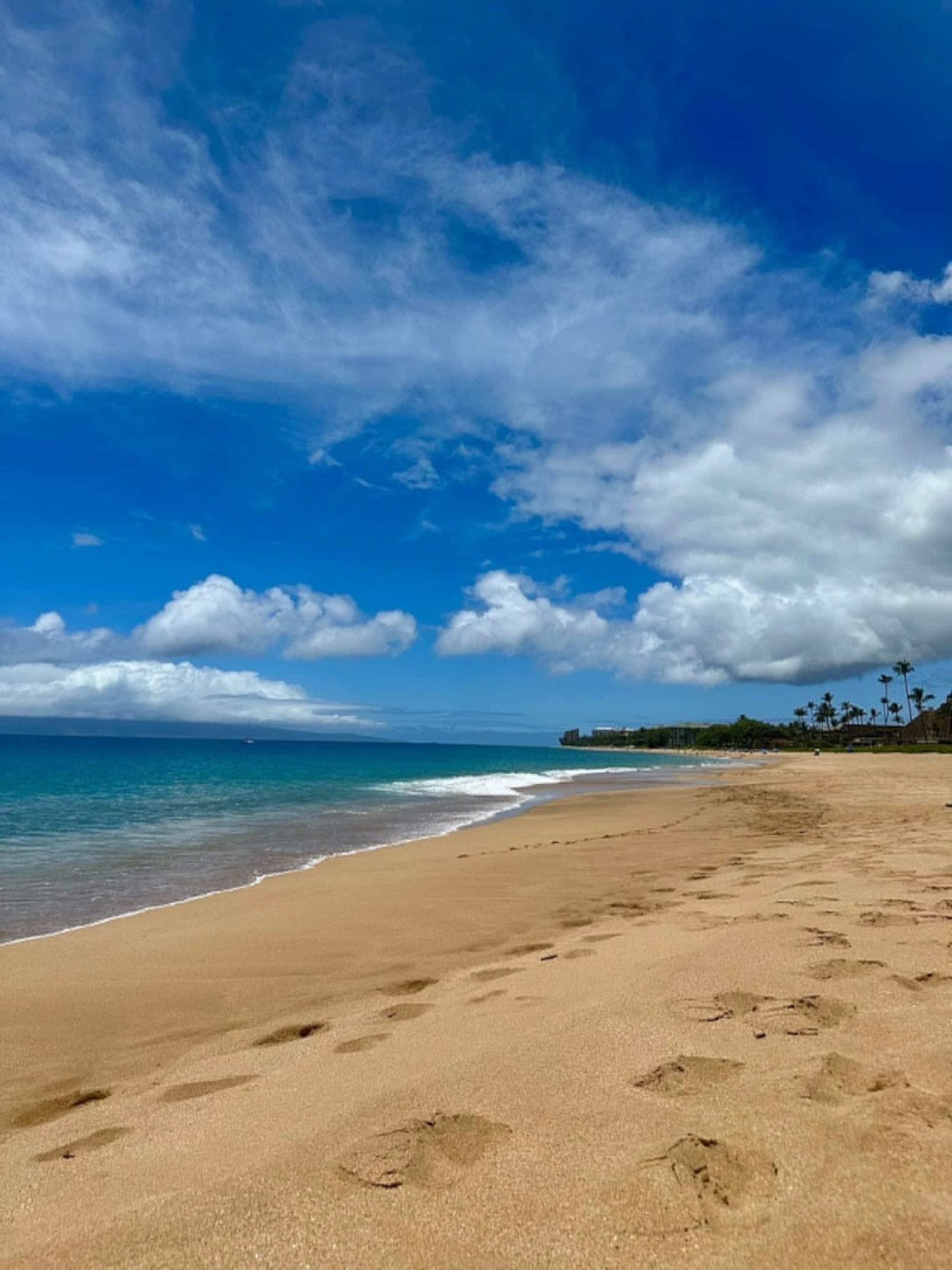 Resort in Lahaina · ★5.0 · Studio · 2 beds · 1 private bath - Image 31
