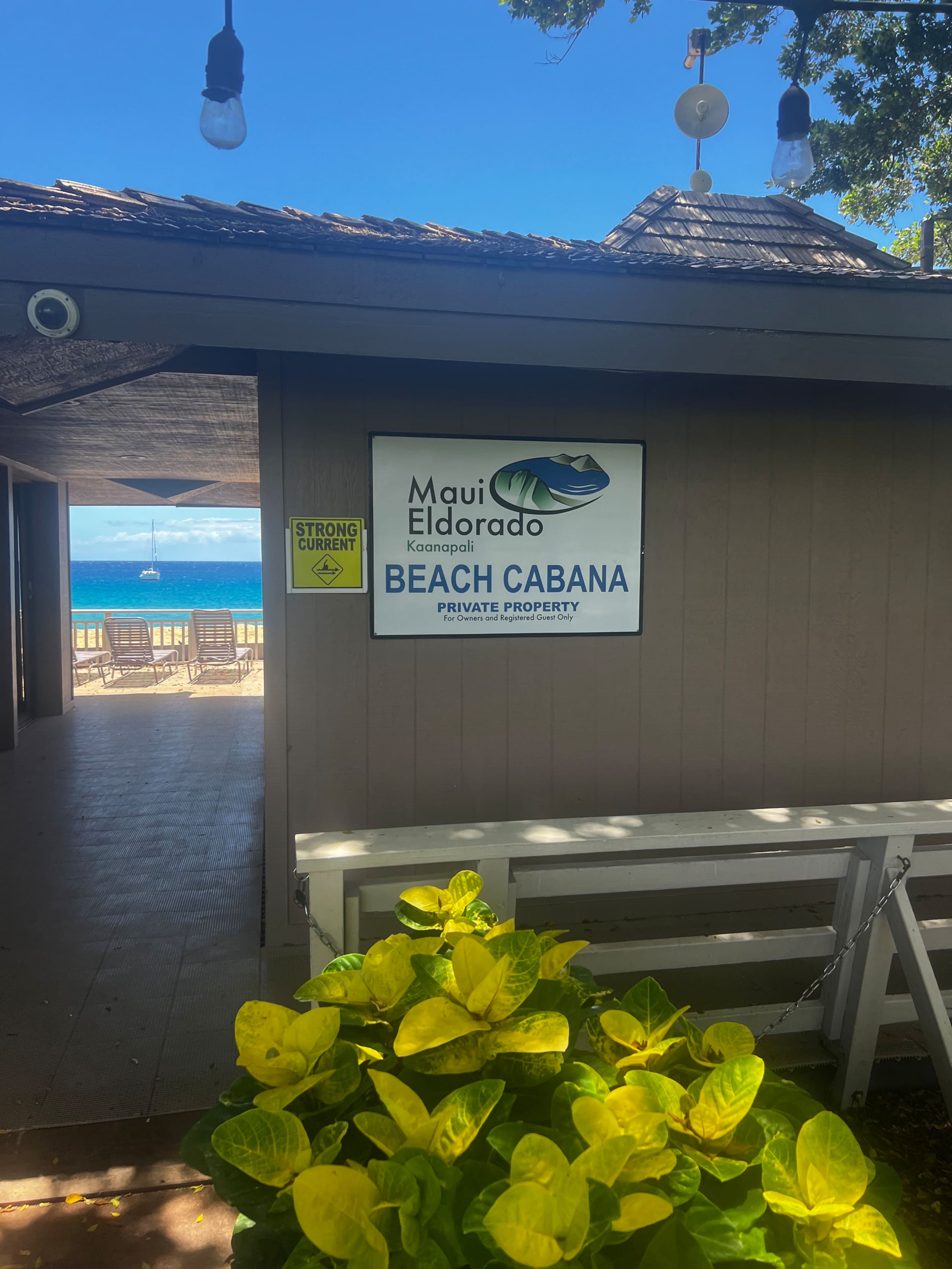 Resort in Lahaina · ★5.0 · Studio · 2 beds · 1 private bath - Image 13