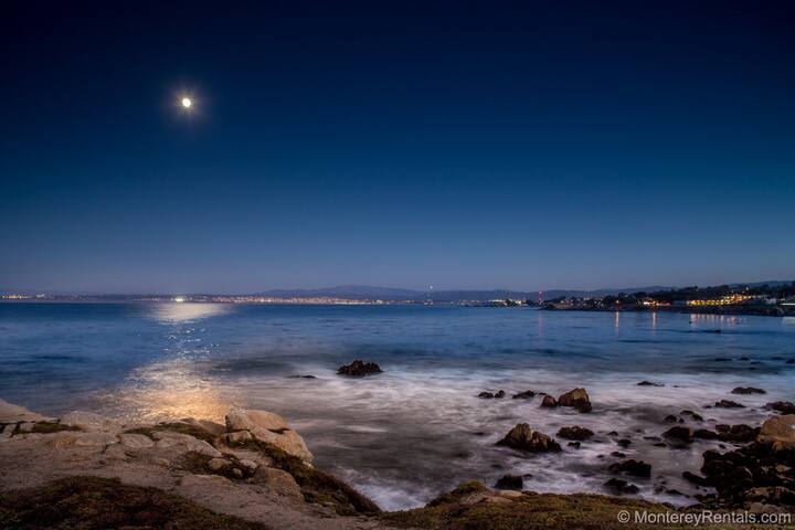 Blue Horizons gallery image 2