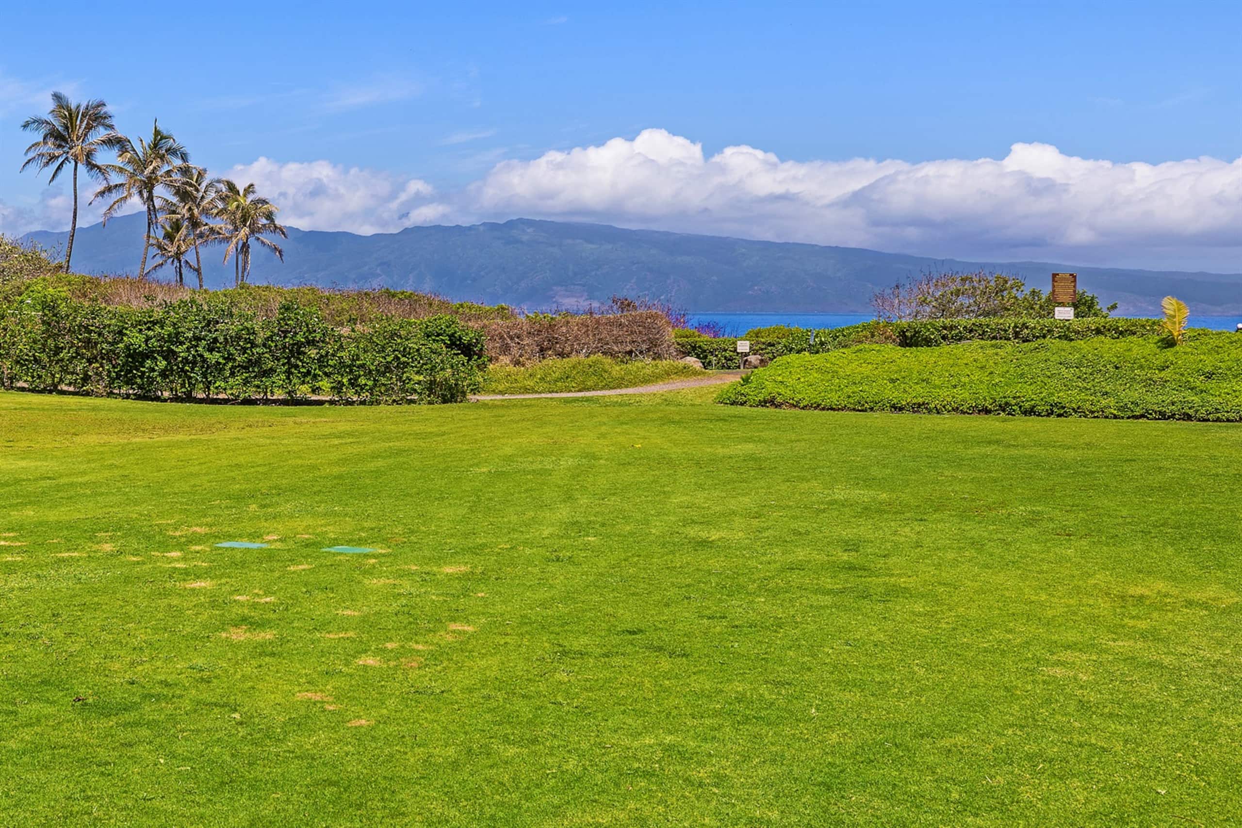 Condo in Lahaina · ★5.0 · 1 bedroom · 2 beds · 2 private baths - Image 37