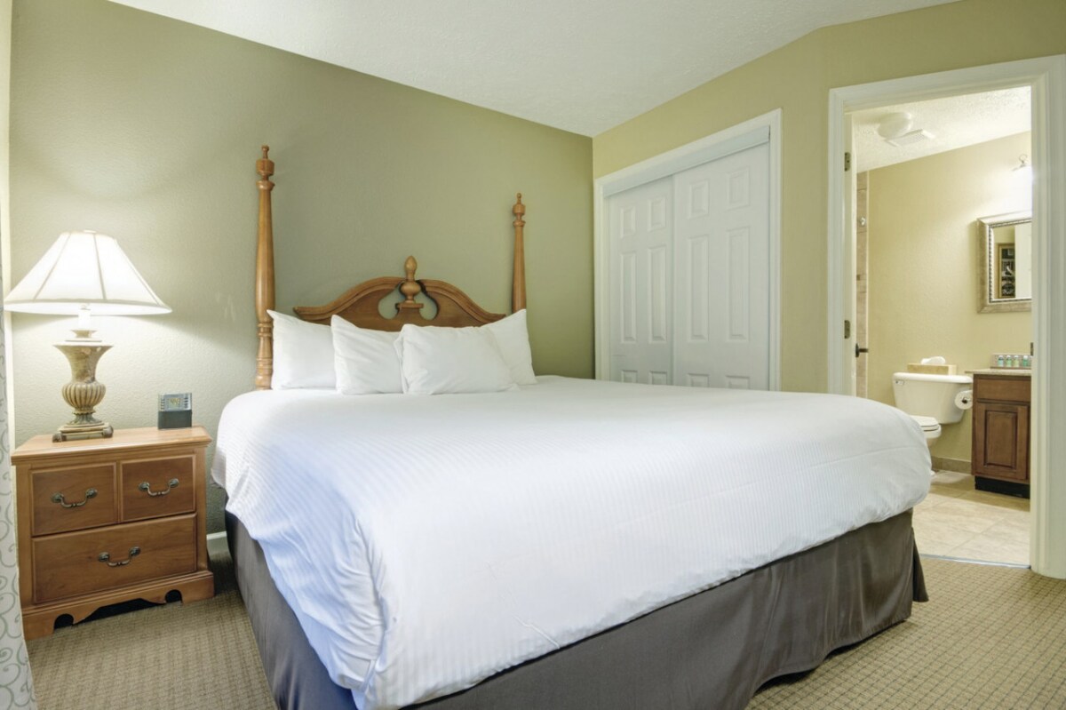 צילום מסך 2023 -06 -13 בשעה 17:50