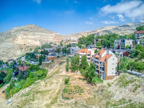 Gin 3-Bedroom Apartment in Mzaar