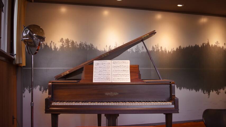 The Yellow Door | Mid-Century Lake Haven | Wayzata gallery image 4