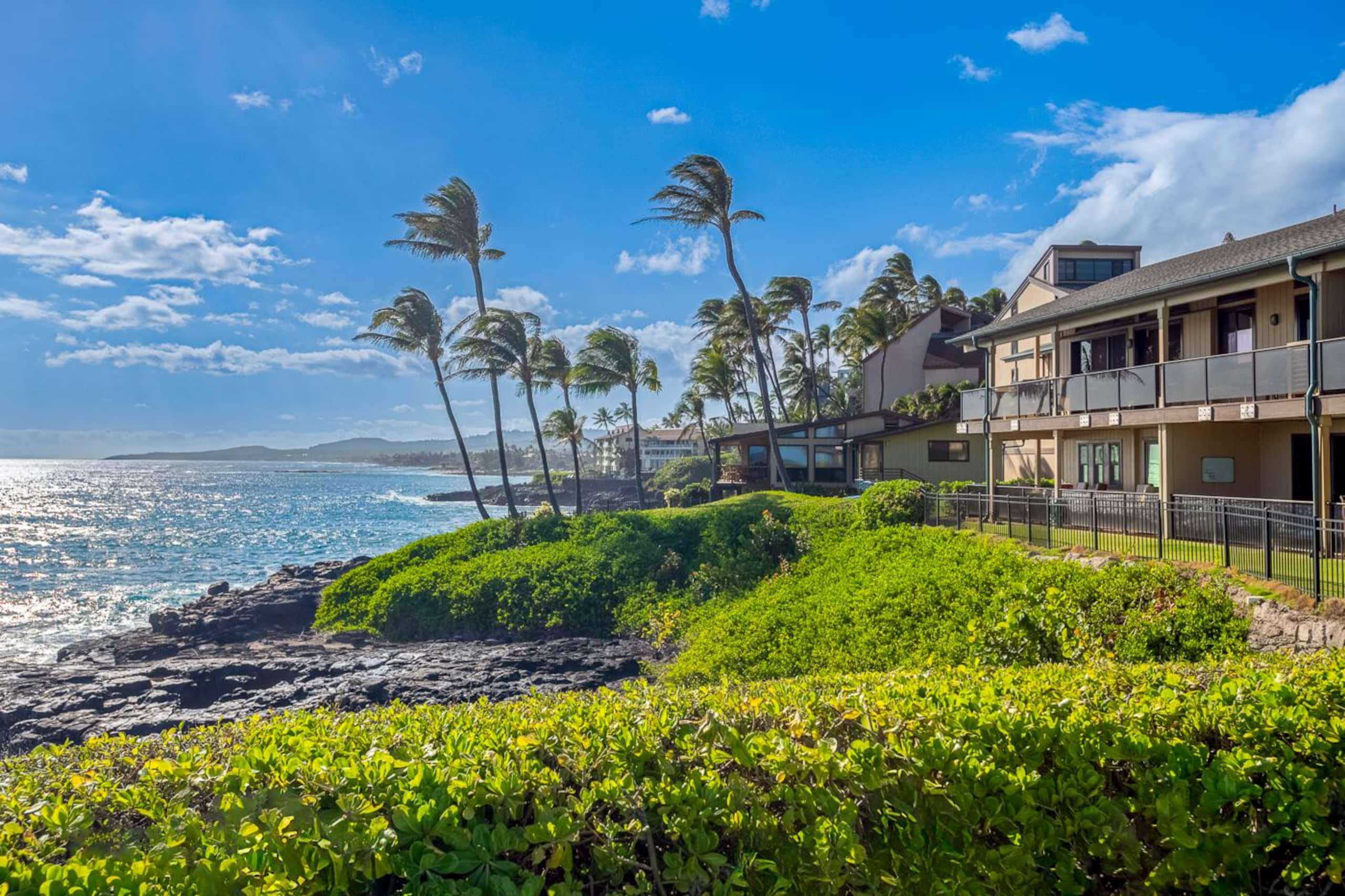 Condo in Koloa · ★4.42 · 2 bedrooms · 2 beds · 2 baths - Image 38