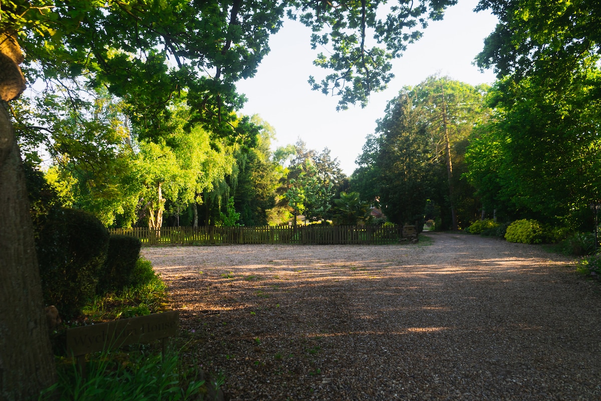 Garden and play area