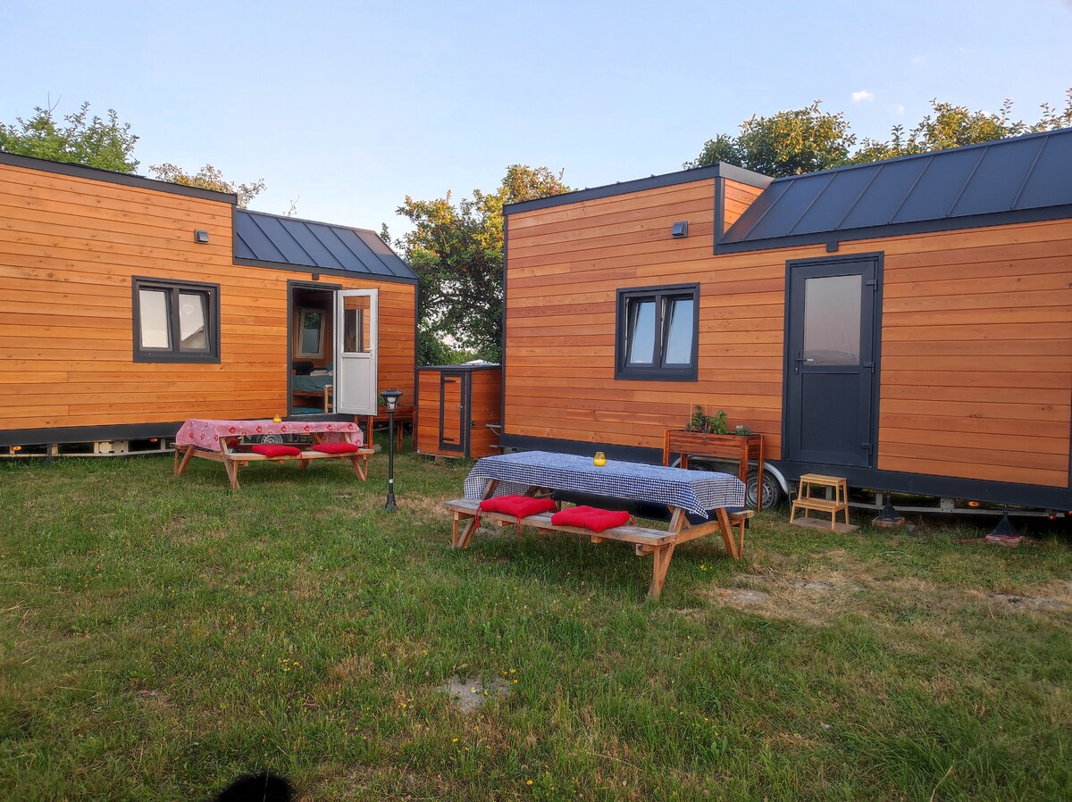 Two wooden tiny houses are positioned in a grassy area, featuring a picnic-style seating arrangement with red cushions. Tables are set with patterned tablecloths, creating a welcoming space for outdoor gatherings. The structures showcase modern design elements, with large windows allowing natural light.