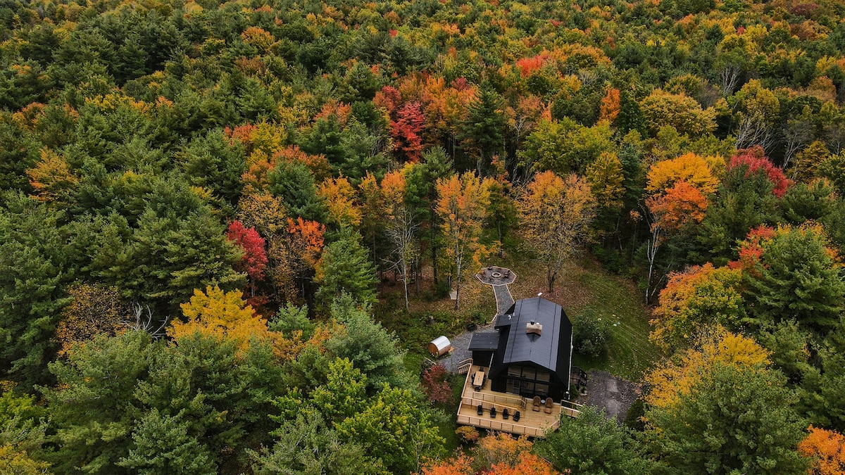 An aerial view showcases The Hideaway nestled among vibrant autumn foliage on 30 private acres. The dark-roofed home is surrounded by a diverse canopy of orange, yellow, and green trees, highlighting the serene wilderness that envelops the property.