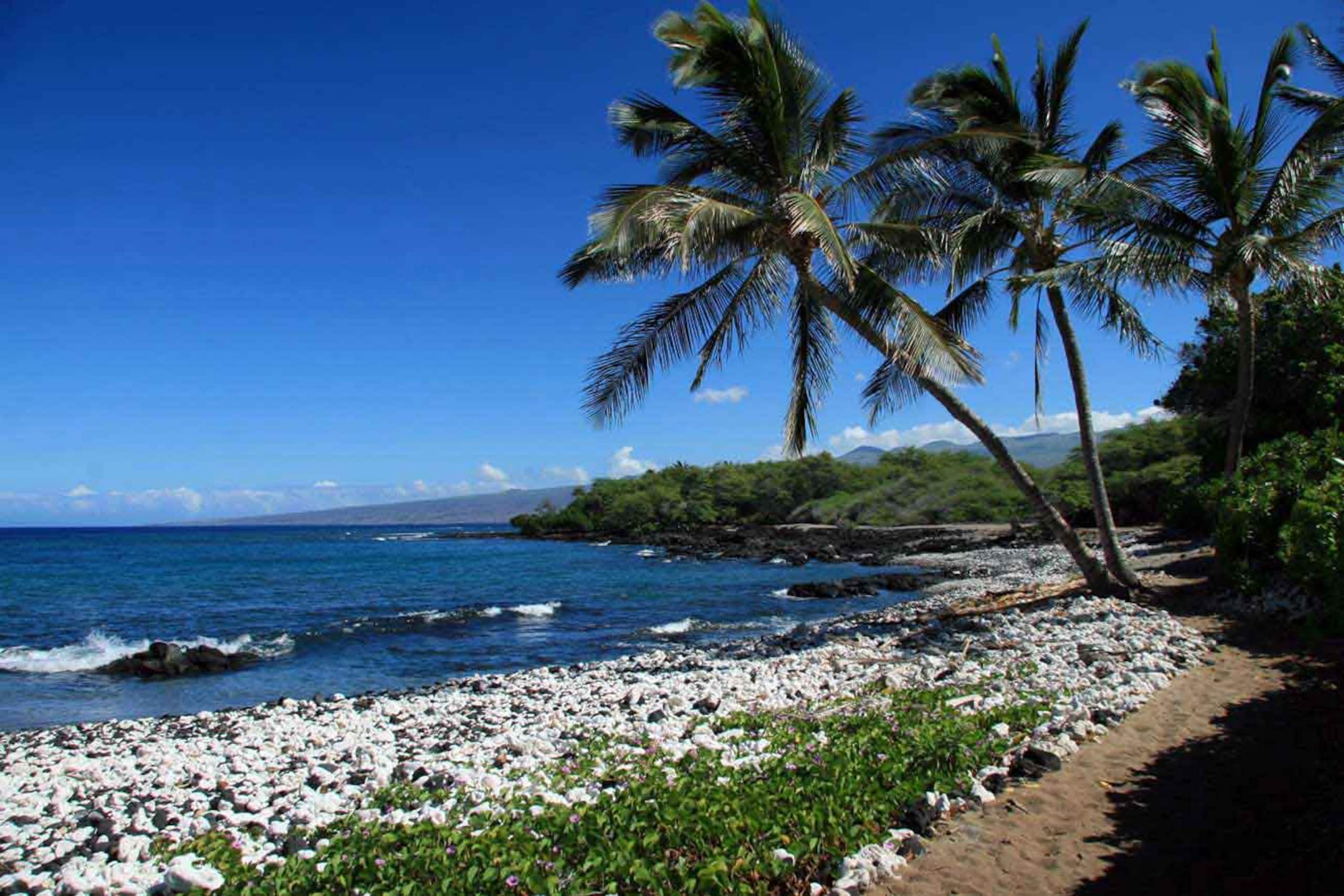 Home in Waimea · ★4.86 · 2 bedrooms · 4 beds · 3 baths - Image 33