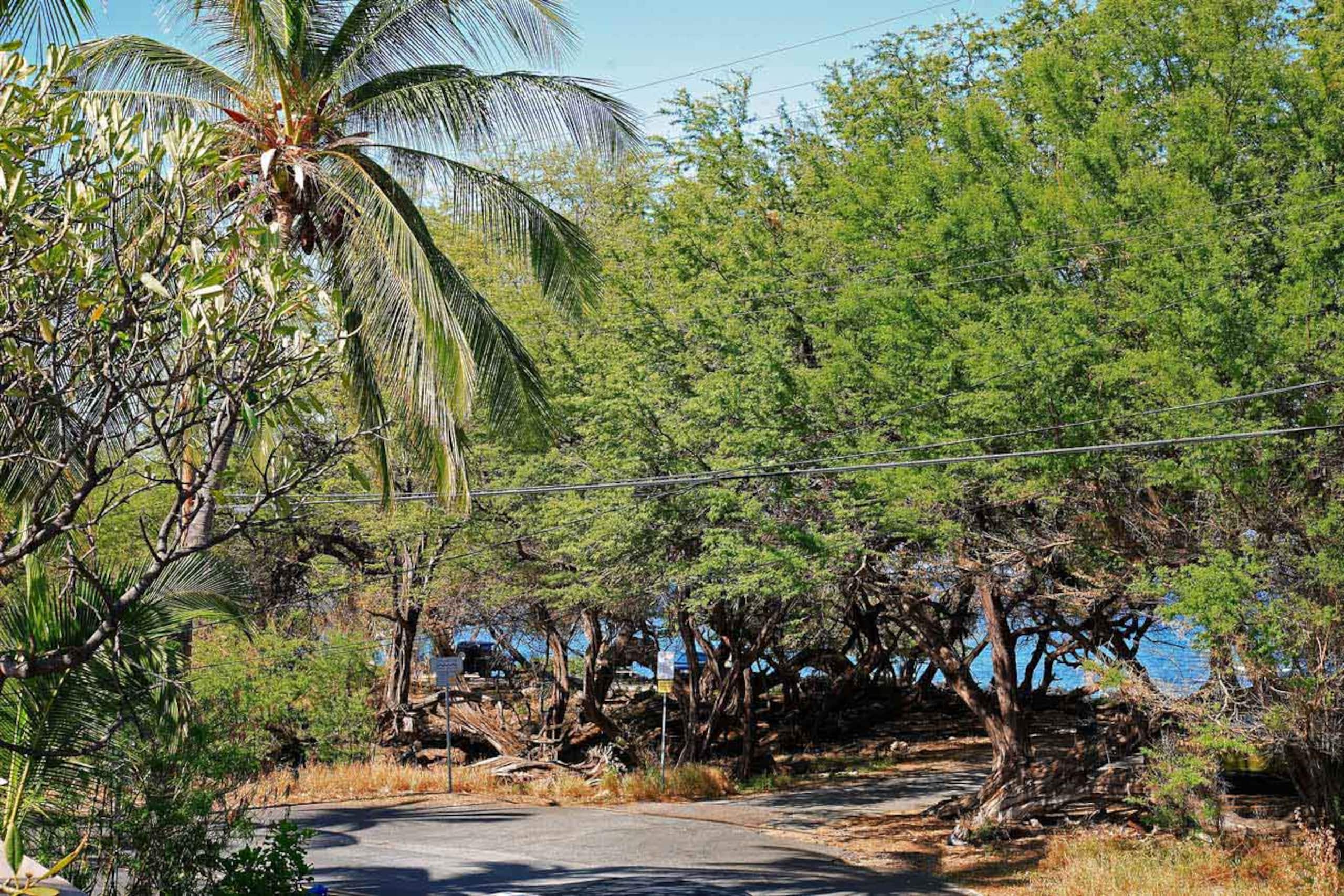 Home in Waimea · ★4.86 · 2 bedrooms · 4 beds · 3 baths - Image 31